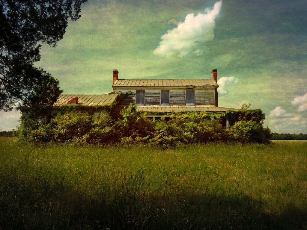 Summertime in the South Hertford County, North Carolina a photo on