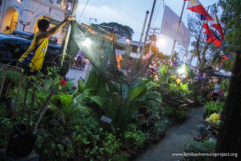 Plants for sale in Tagbilaran City, on Bohol, Philippines Flickr