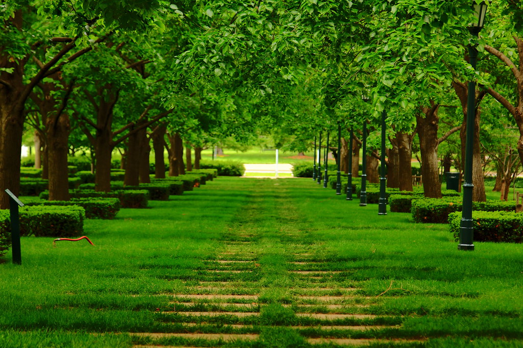 Walk in the Park Kansas City, Missouri. Two Parallel paths… Flickr
