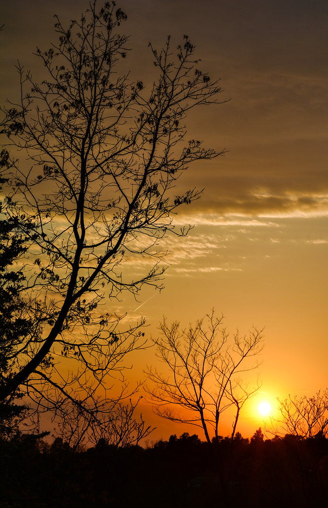 Sunset Silhouette Shot from Scottown Ohio! Joshua Murdock Flickr