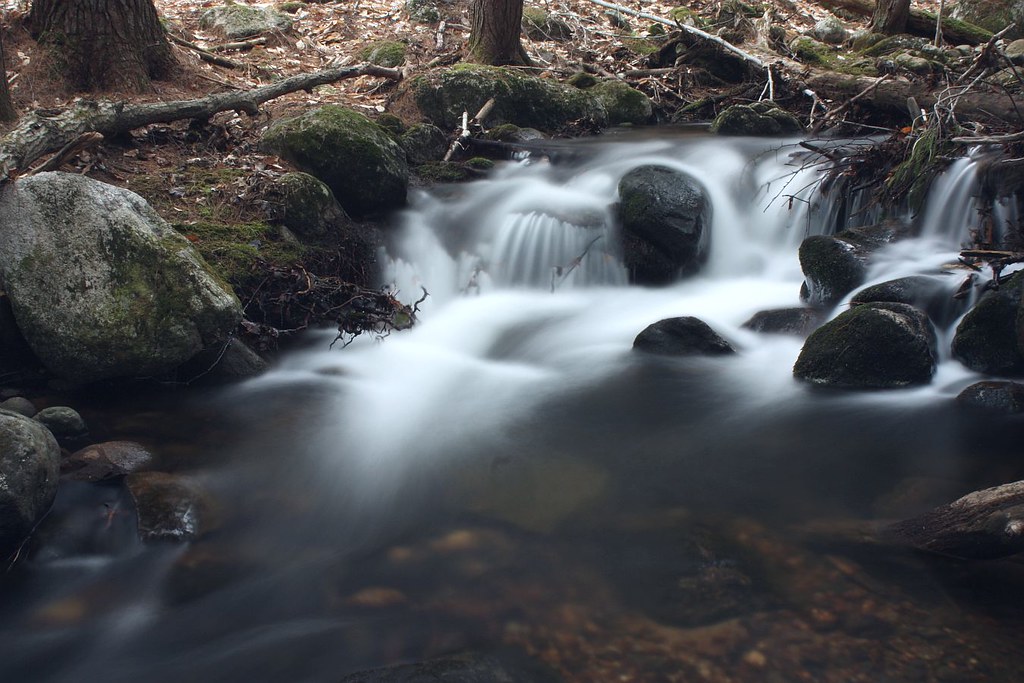 2014_0430HiramBrook0027 Hiram, Maine. Today was very over… Flickr