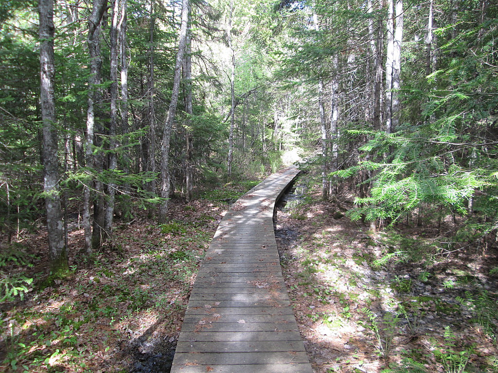 Major Kollock Creek Trail, Kouchibouguac National Park, NB… Flickr