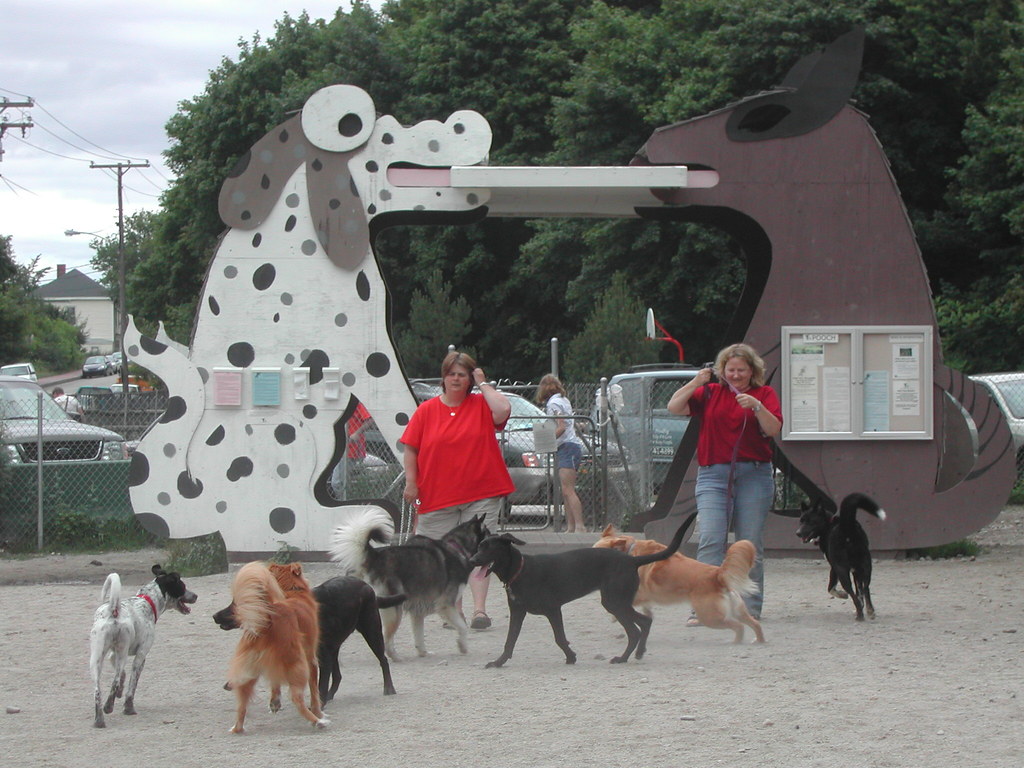 The Portland ValleyStreet Dog Park! (DSCN1103) This is th… Flickr