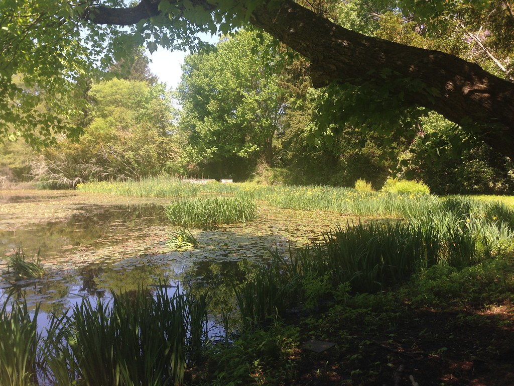 Muttontown Preserve Chelsea Estate Photo taken on a geo… Flickr