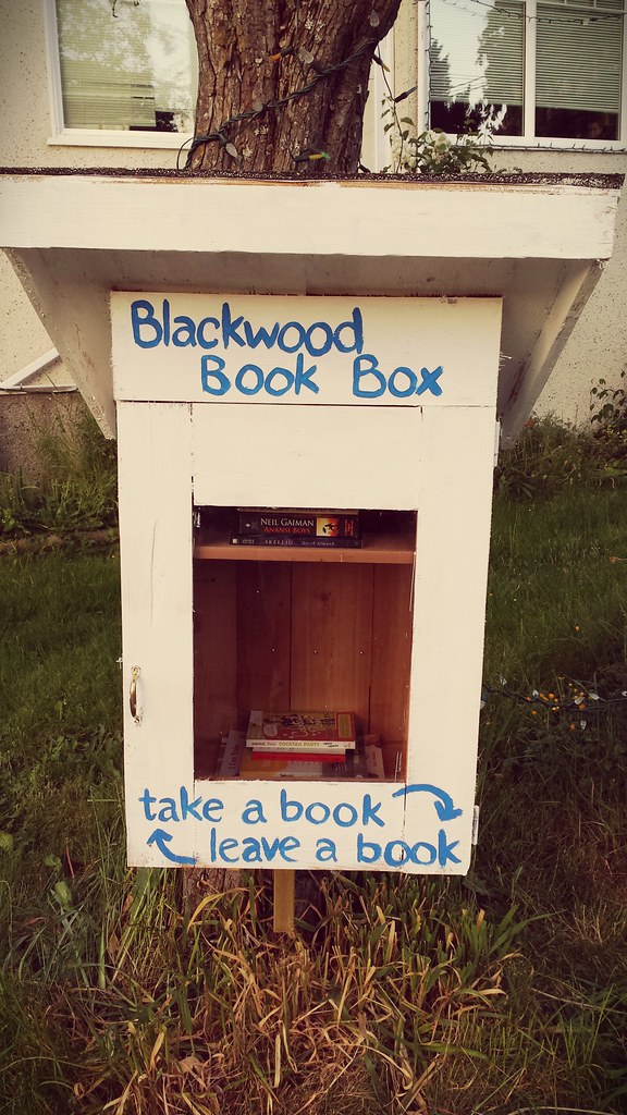 The Blackwood Book Box is born! Page DeWolfe Flickr