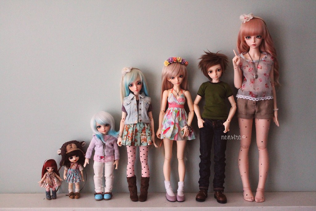 All Sizes! | Here is a comparison of all the sizes of Fairyl… | Flickr