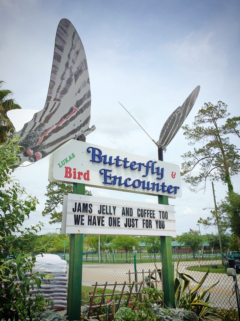 Mother's Day visit to the butterfly garden Lee Flickr