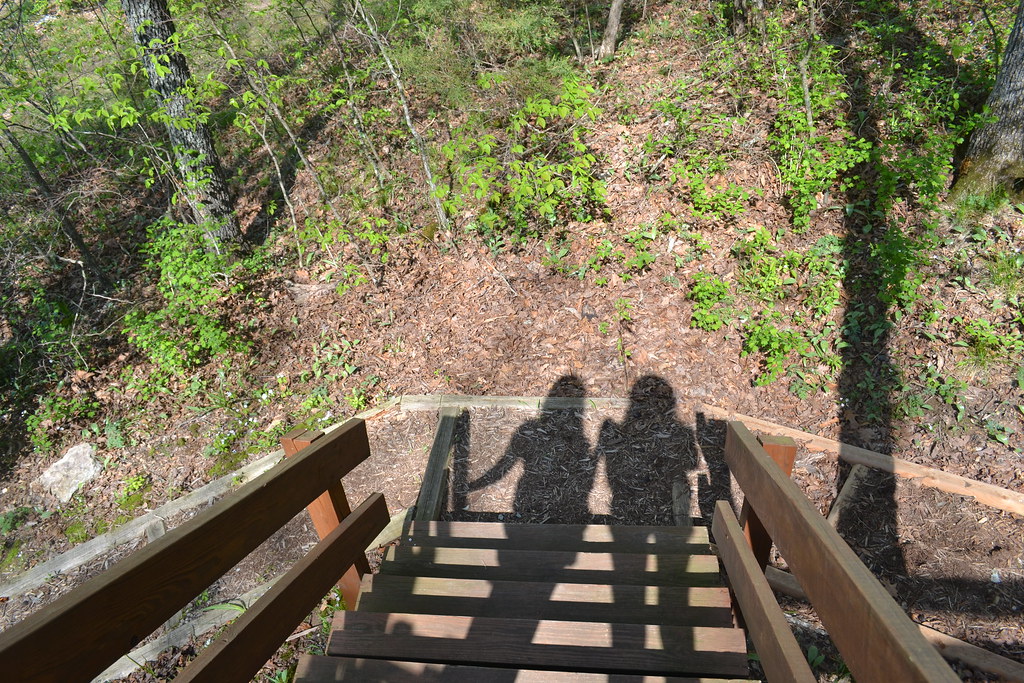 DSC_0449 Cameron Hill Flickr