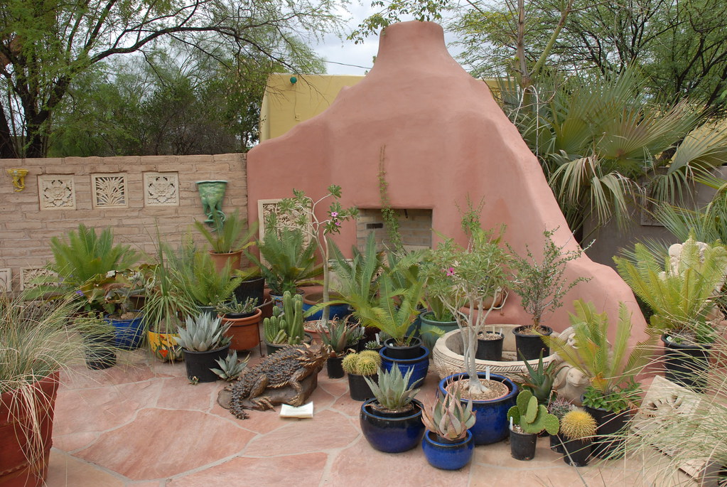 20140717 Plants for the Southwest in Tucson (43) Plants fo… Flickr