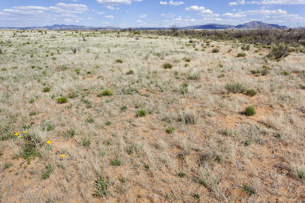 Lordsburg Mesa Lordsburg Mesa, northeast of Ninemile Hill … Flickr