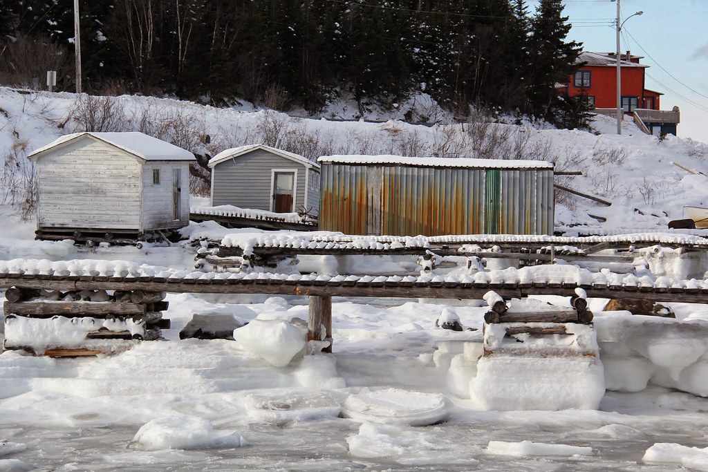 Ice and wharves. Ice moving into Seal Cove, White Bay, NL