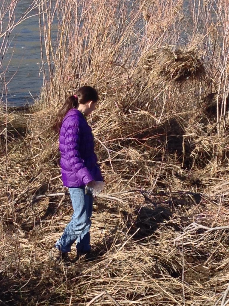 image Lorena Woods Flickr