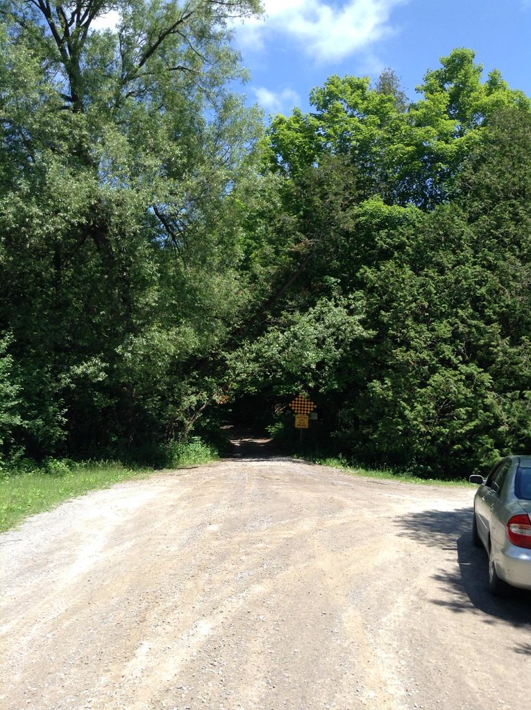 Skelding Road unopened road allowance viewed easterly Flickr