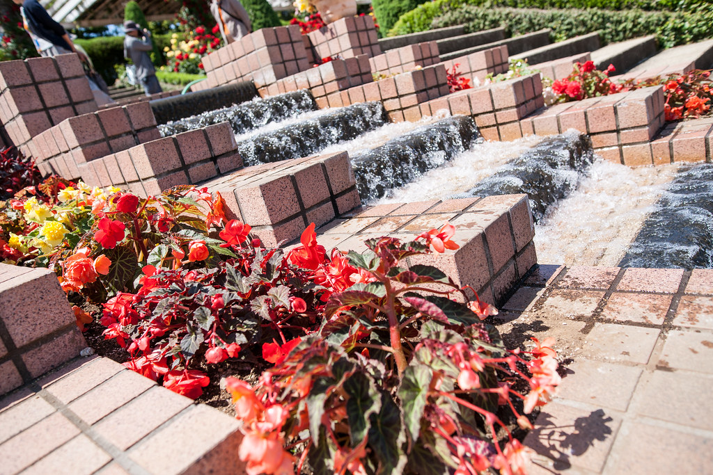 20140517_yatsurosegarden_059 Toshiaki NANBA Flickr