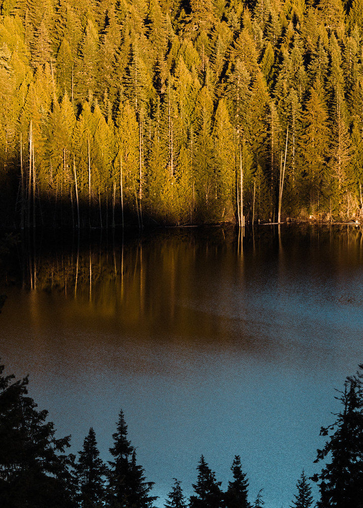 Kings Lake I've never seen King's Lake except for glimpses… Flickr