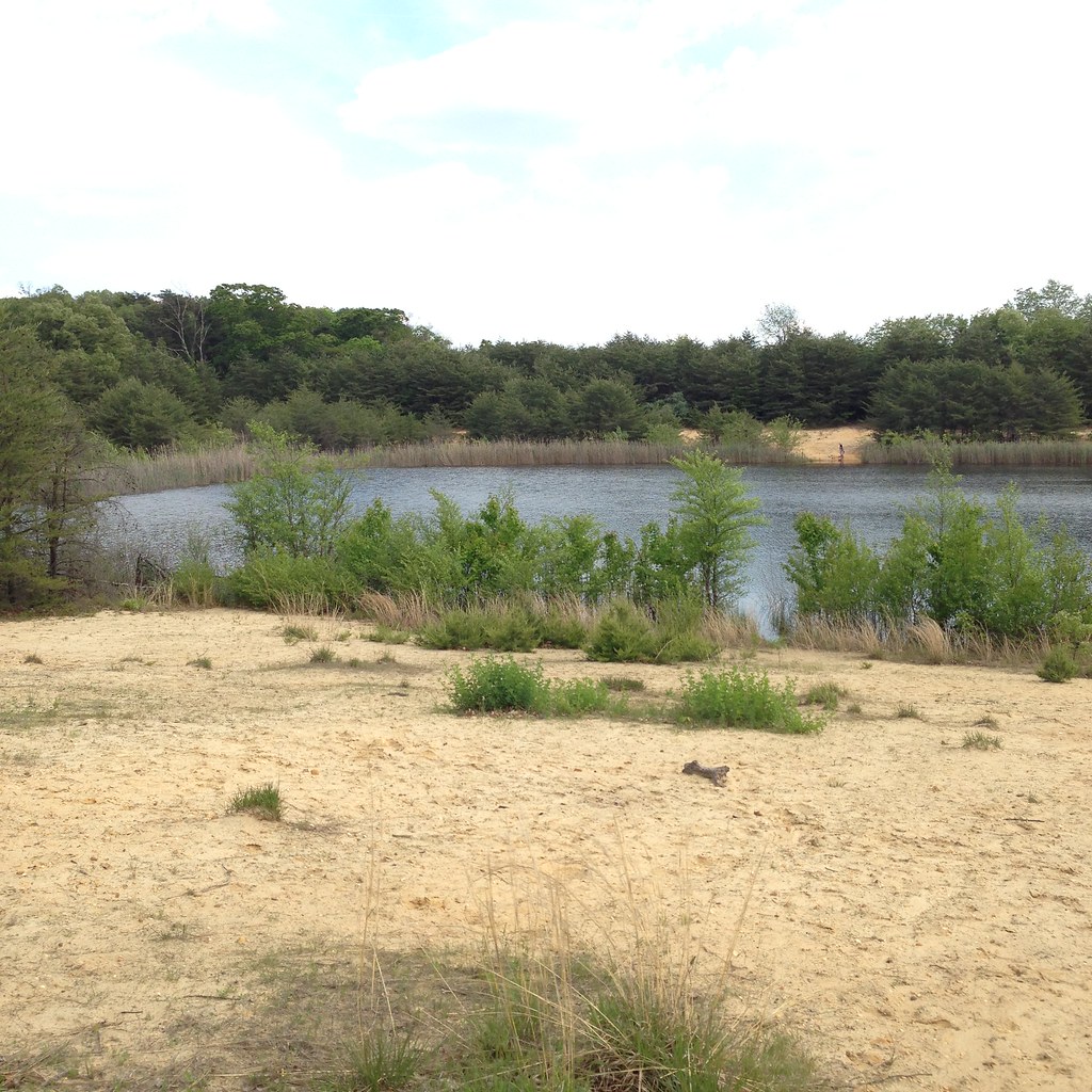 IMG_1939 Lake Lonnie Deb Hammond Flickr