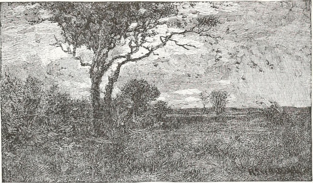 Image from page 96 of "McGuffey's second eclectic reader" … Flickr