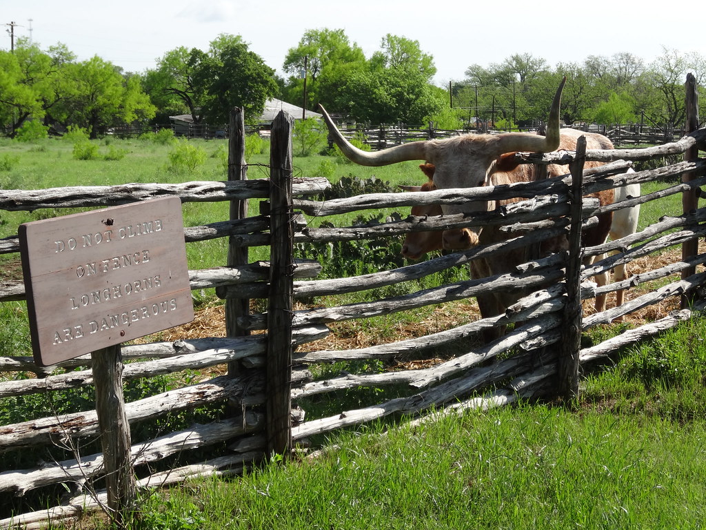 Johnson Settlement, LBJ NHP, Johnson City, TX6 **Lyndon B.… Flickr
