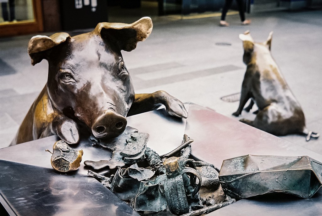 Street Pigs The Pig sculptures in Rundle Mall Adelaide tak… Flickr