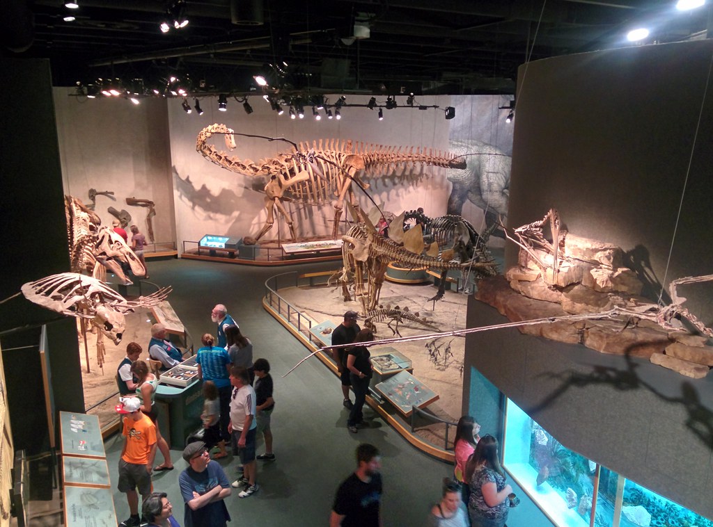 √ Denver Museum Of Nature And Science Dinosaurs Alumn Photograph