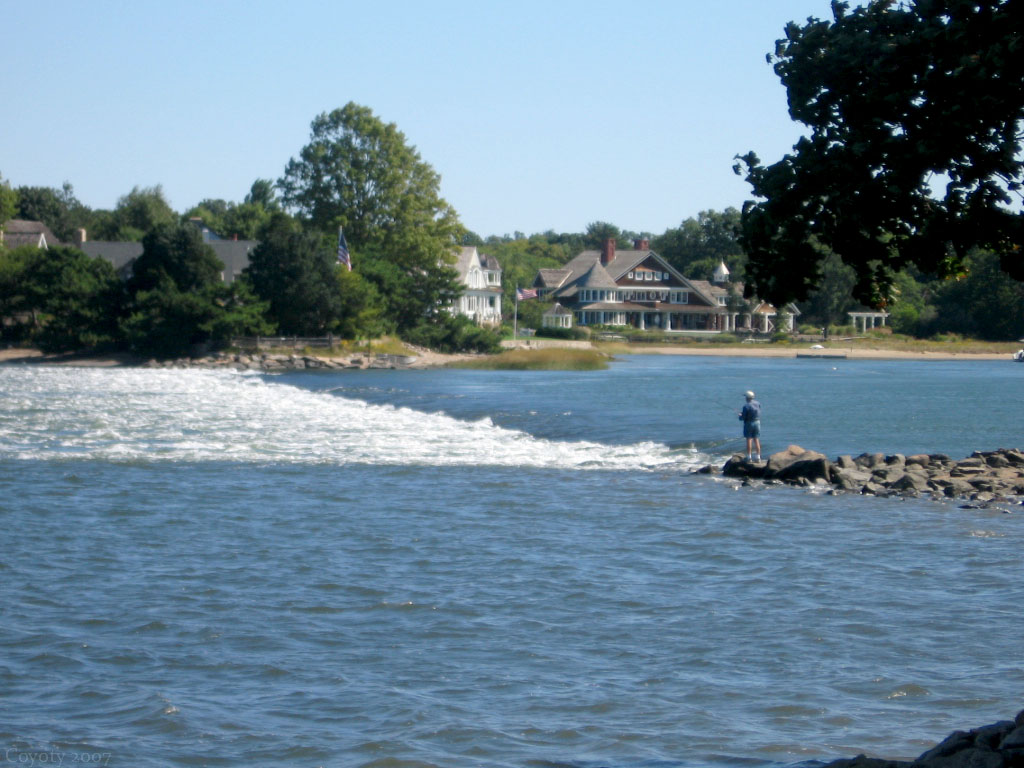 Cove Island Park Stamford, CT. Coyoty Flickr