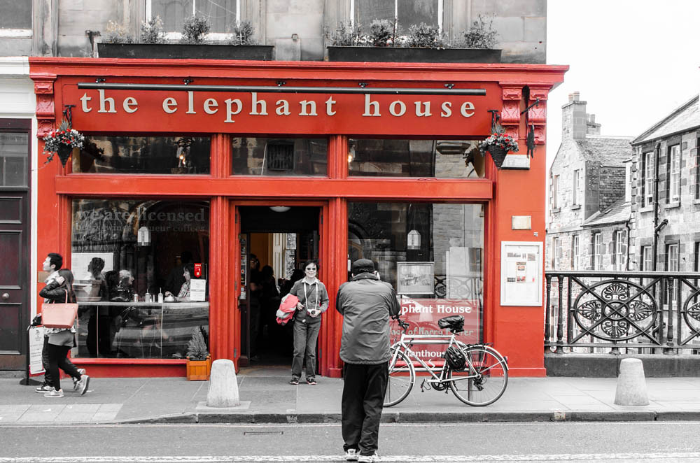 The Elephant House Opened in 1995, The Elephant House has … Flickr