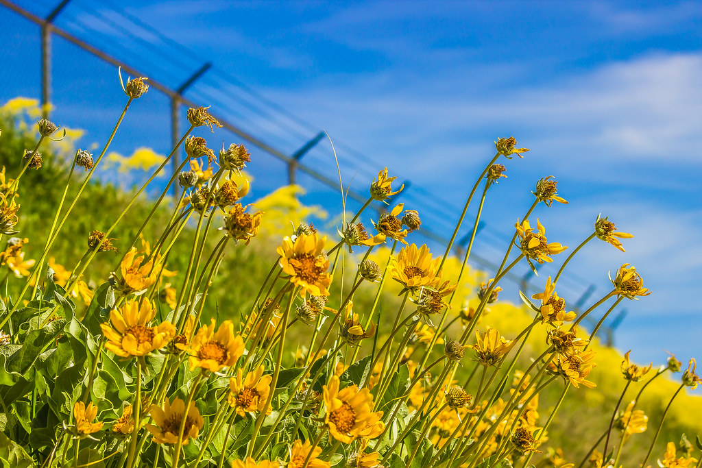 Elevation of Roy Innovation Center, S. Missile Way, Roy, UT, USA