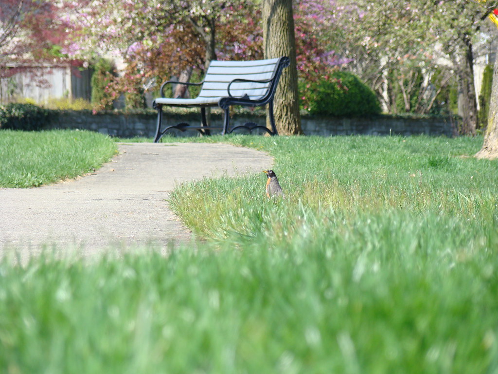 Tremont Fountain Park Upper Arlington, Ohio Flickr