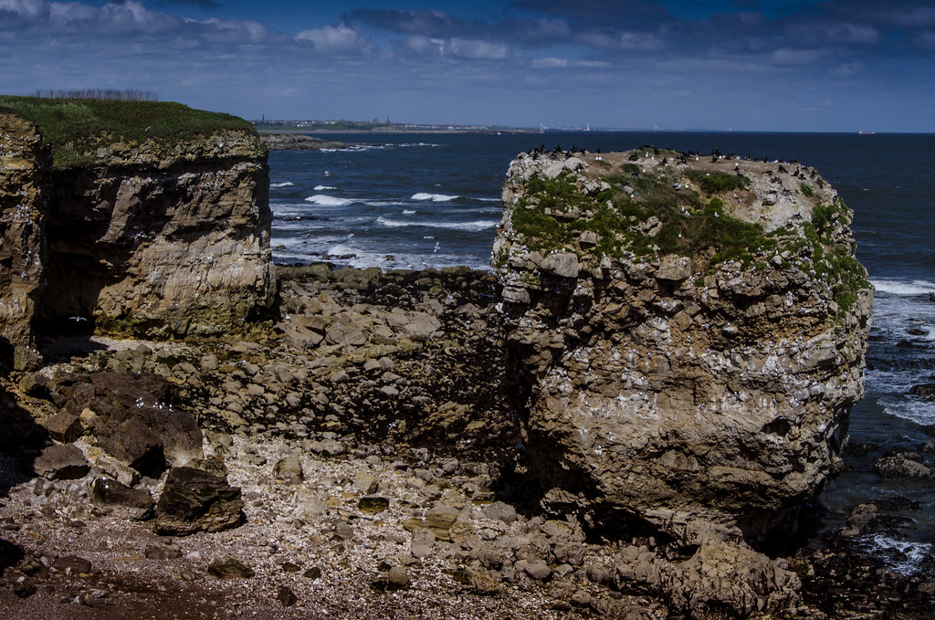 Marsden Rocks, South Tyneside A cool breeze coming in of a… Flickr