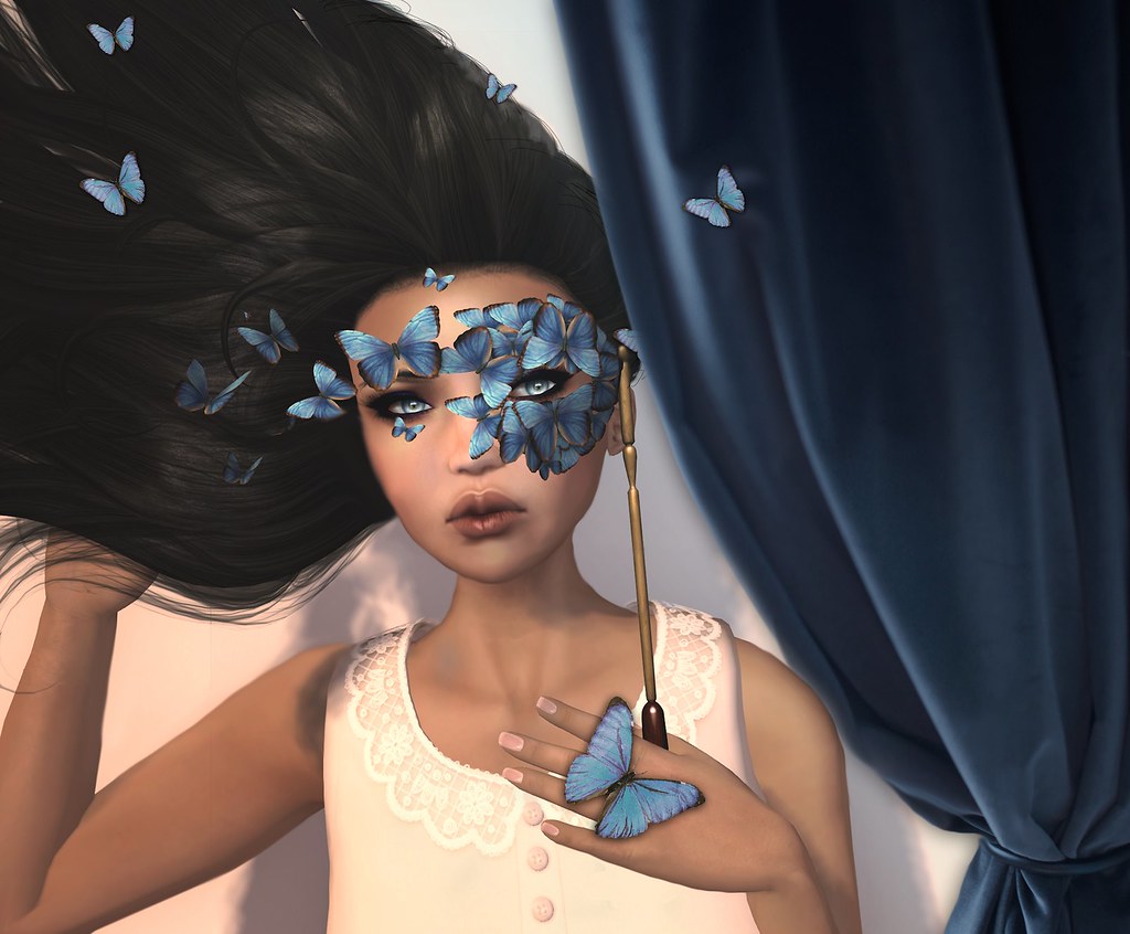 Miss Butterfly taken by Cecilia Blachere shine & sharp by [ZD] Flickr