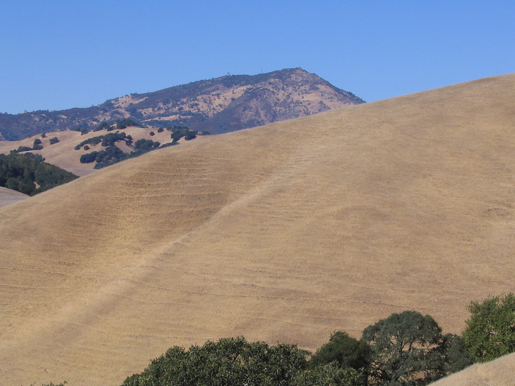 Finley Ride at Territory 060 Gambolin' Man Flickr