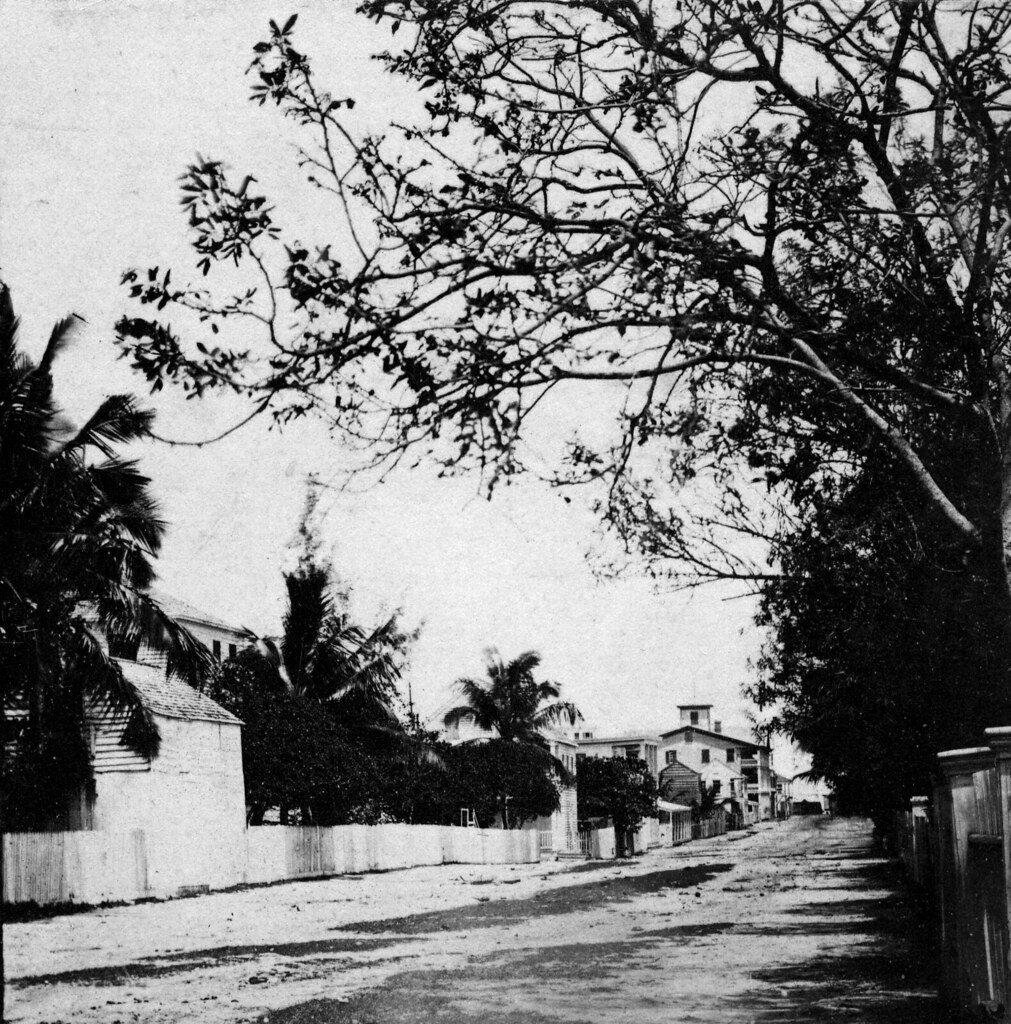 MM00039060 Lower Duval Street C 1880 from a stereoview. Th… Flickr