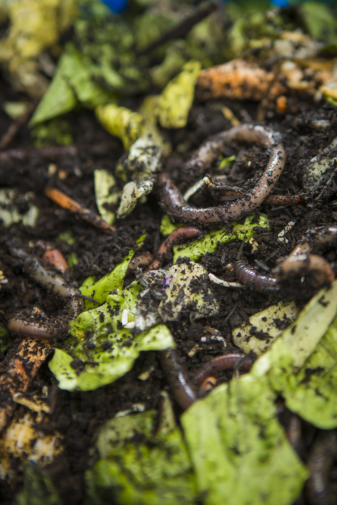 A bucket is mixed wit… Flickr