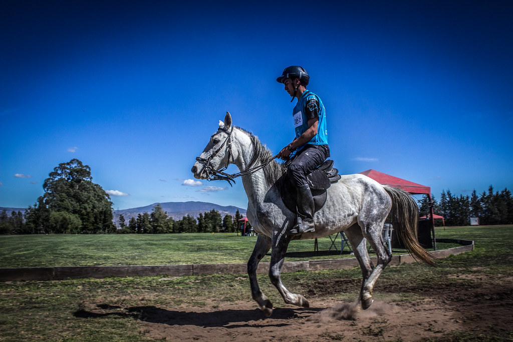 VI Chone 2014/Quito Polo Club (Checa) © Luis Fernando Padr… Flickr