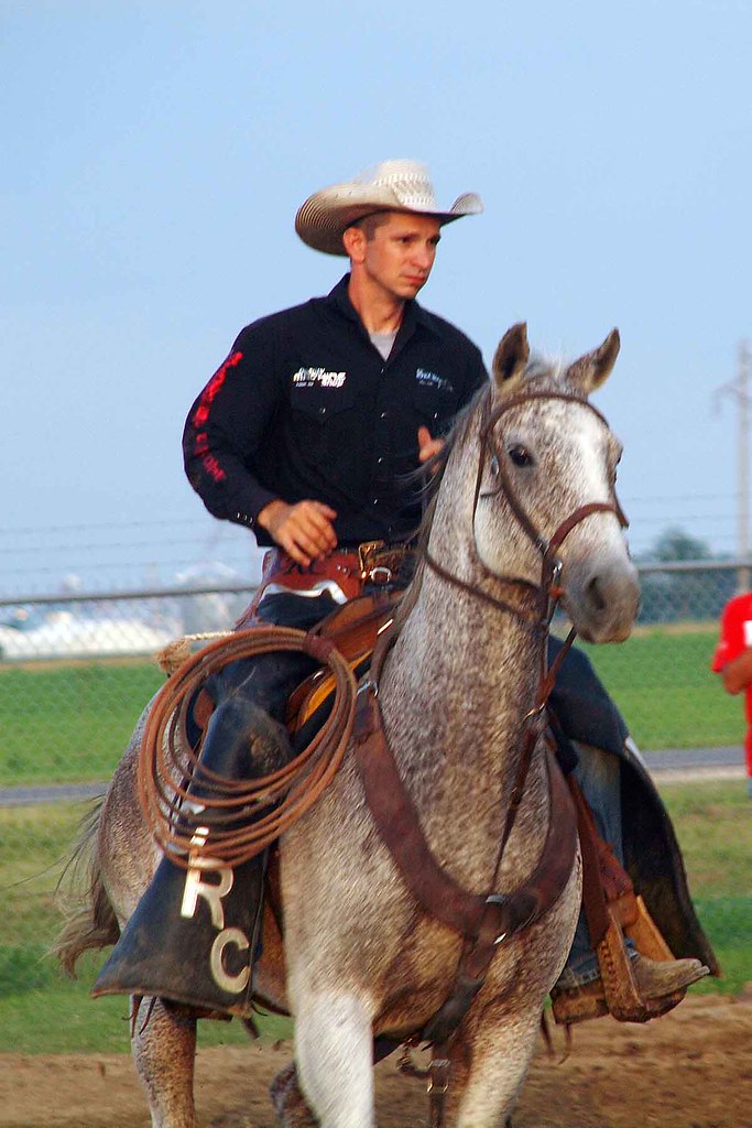 Vandalia Area Fair 2014 Trib photo by Nancy Case Flickr