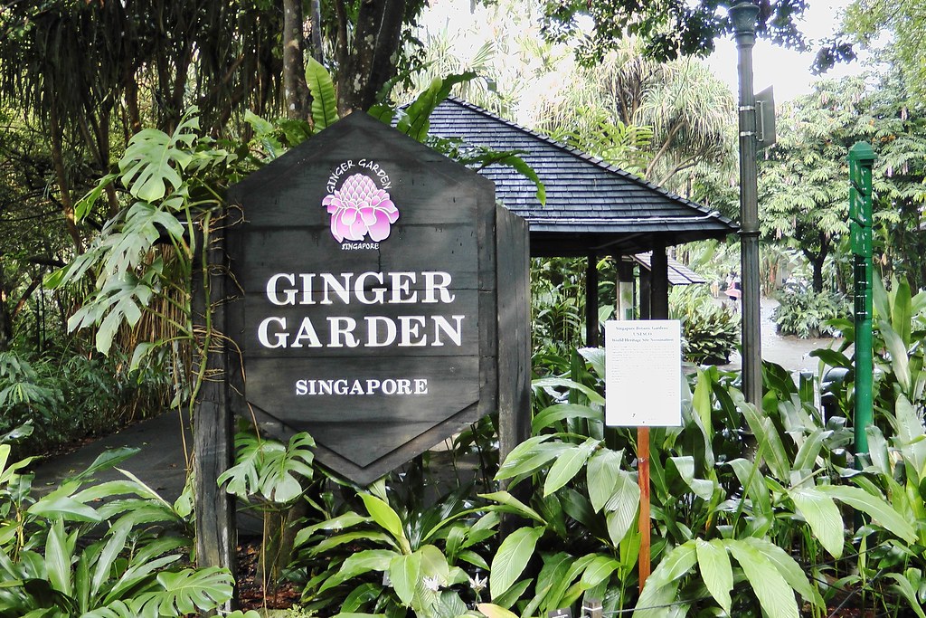The Ginger Garden Marcus I Flickr