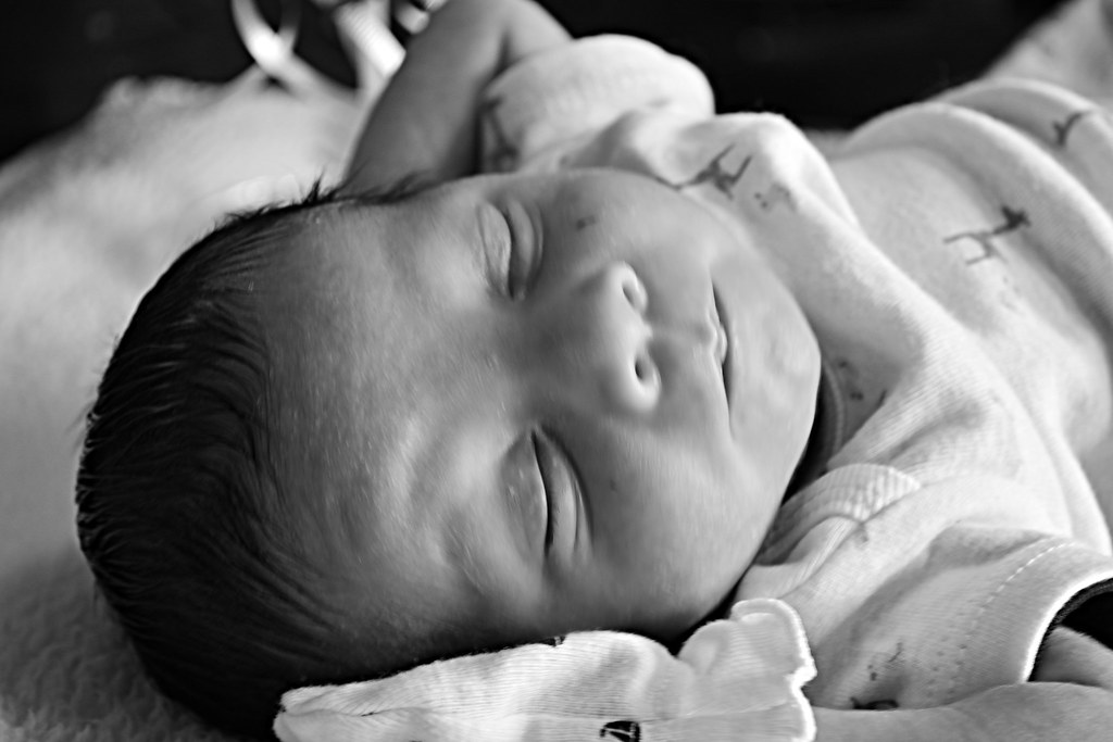 elrey Abraham Zepeda Flickr