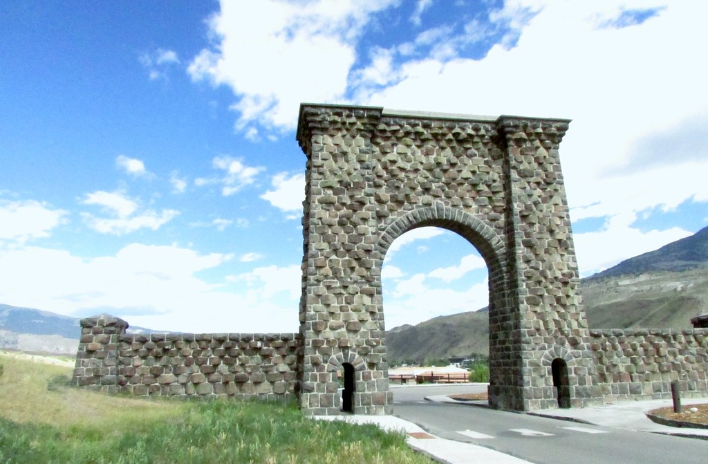 Yellowstone National Park 6690 Tangled Bank Flickr