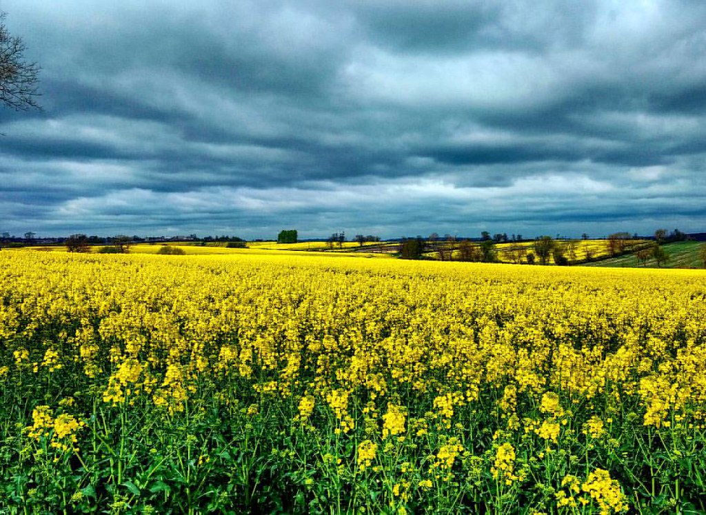 Contrasting tones land Vs sky! . . . landscape_lovers … Flickr