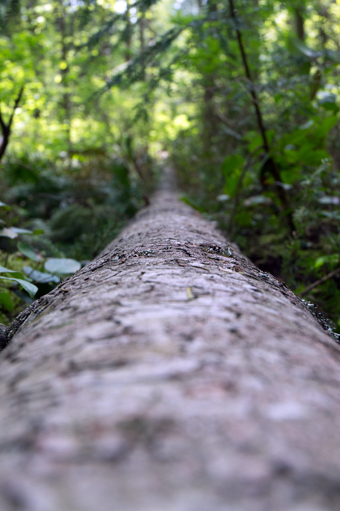 Paradise Valley Conservation Area Paradise Valley Conserva… Flickr