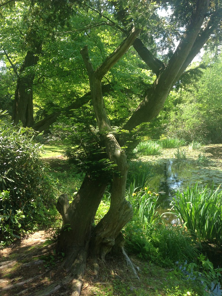 Muttontown Preserve Chelsea Estate Photo taken on a geo… Flickr