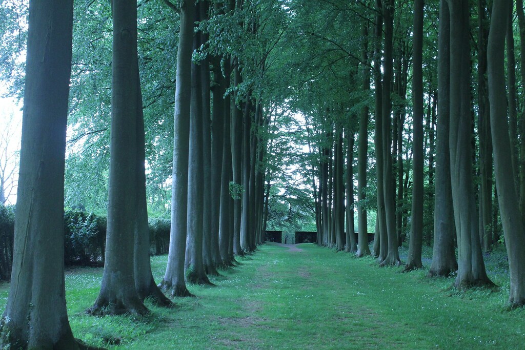 Cotswolds Didcote Manor jobs done Flickr