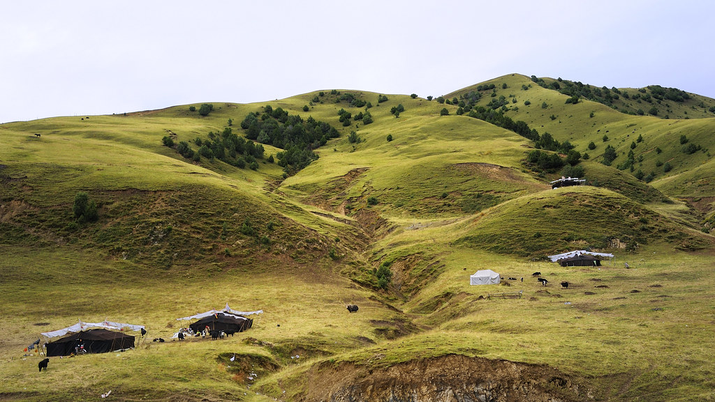 The distinguish Nomad black yakhair tents, Tibet 2013 Flickr