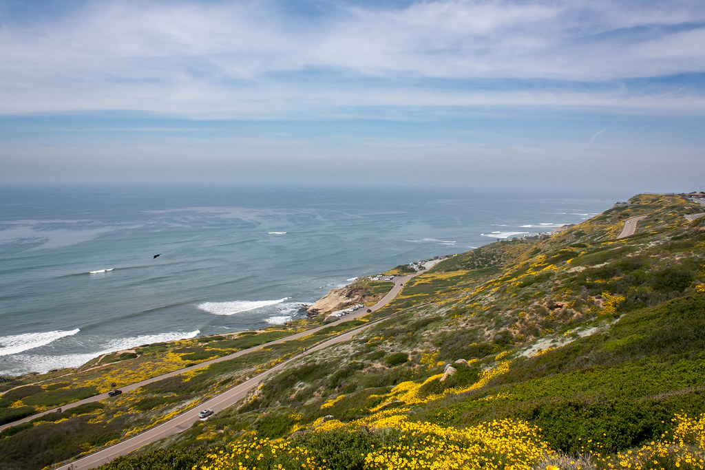 Point Loma Tide Pools Flickr