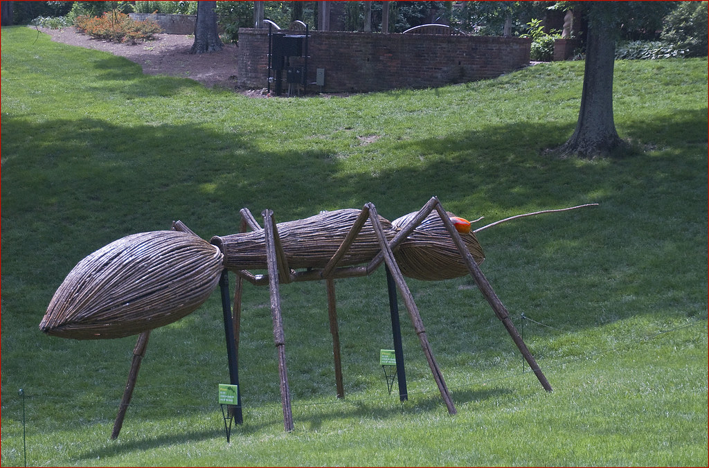 Ant 'Big Bug' Exhibit at Cheekwood Botanical Gardens Na… Flickr
