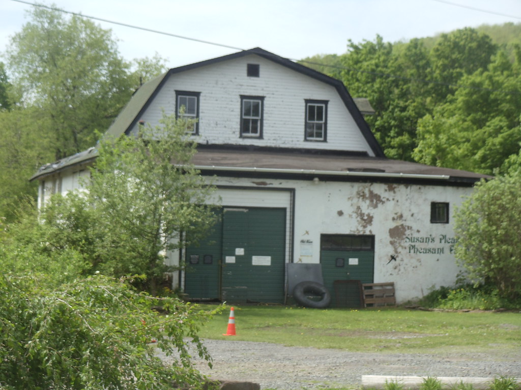 Halcottsville, New York SUSAN'S PLEASANT PHEAsANT FARM Flickr