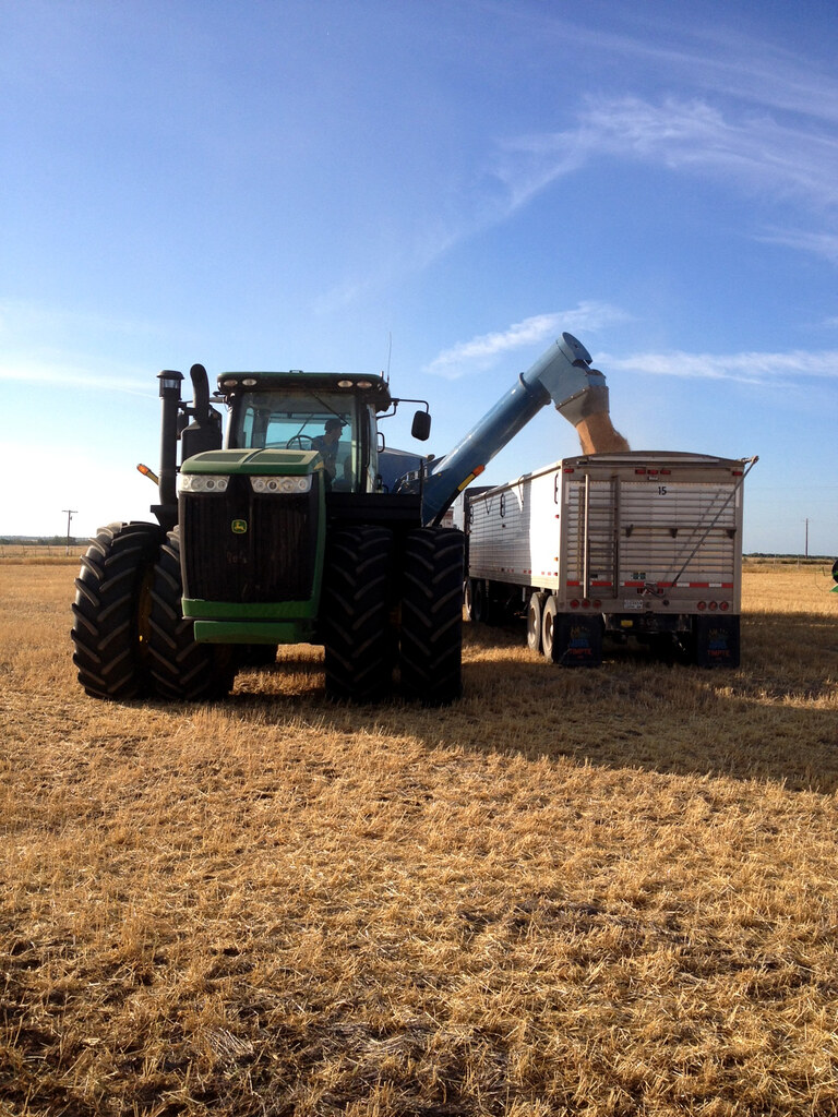 Alex dumps on a truck JB Hoffman Harvesting Jada Flickr