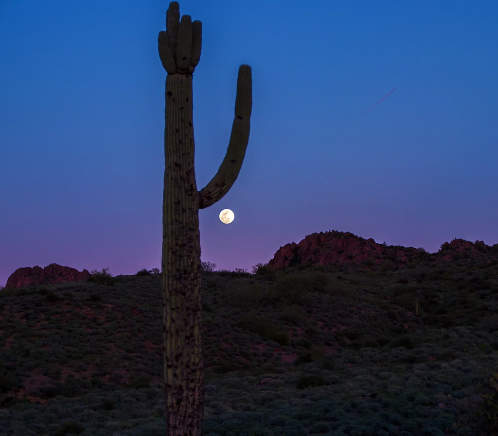 Cactus Moon 1 Full Moon rising in the Arizona Desert in th… Flickr