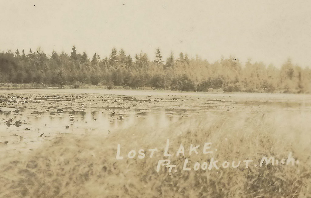 CEN Au Gres Point Lookout MI RPPC 1927 Rare view of Lost L… Flickr