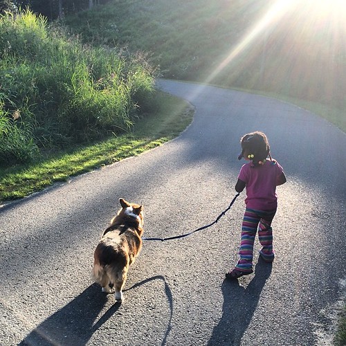 last night's dog walk. latergram mazaletel Flickr